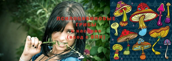 гашик Бронницы
