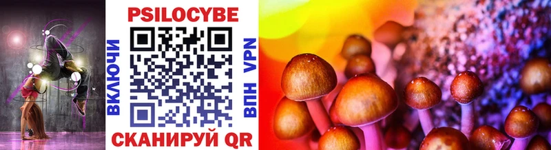 Купить где Циолковский Псилоцибиновые грибы Psilocybine cubensis