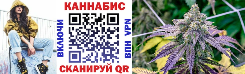 Канабис OG Kush  Купить где  Циолковский 